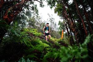 BIB: 
                            <button type="button" onclick="openModal(26204615)" class="btn btn-primary btn-sm float-right btn-popup" data-toggle="modal" data-target=".modal-high-quality">
                        <i class="fas fa-shopping-cart"></i> Add to Cart
                    </button>
                                            <button type="button" onclick="isThisMe(26204615, true)" class="btn btn-success btn-sm float-right btn-popup btn-isme hidden" data-toggle="tooltip" data-placement="bottom" title="นี่คือรูปของคุณใช่ไหม คลิกที่นี่เพื่อเอาเข้าอัลบั้ม">
                        <i class="fas fa-plus"></i> Add to album
                    </button>
                    <button type="button" onclick="isThisMe(26204615, false)" class="btn btn-warning btn-sm float-right btn-popup btn-isnotme hidden">
                        <i class="fas fa-ban"></i> Remove from album
                    </button>